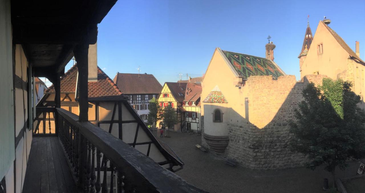 Duplex Saint Lustre, View Over Castle And Storks, 5 Mn From Colmar Eguisheim Zewnętrze zdjęcie